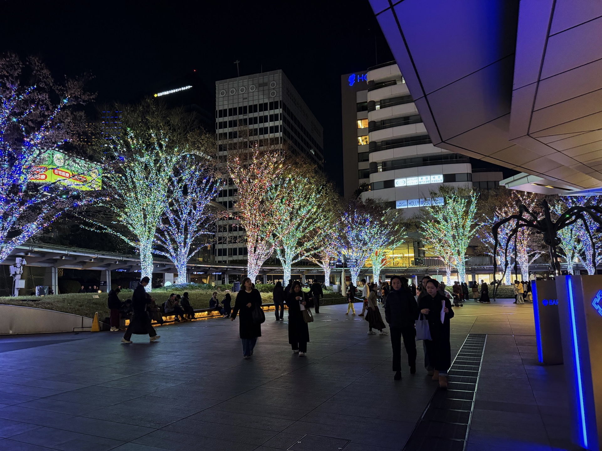 Photo after tone editing with ToneCraft