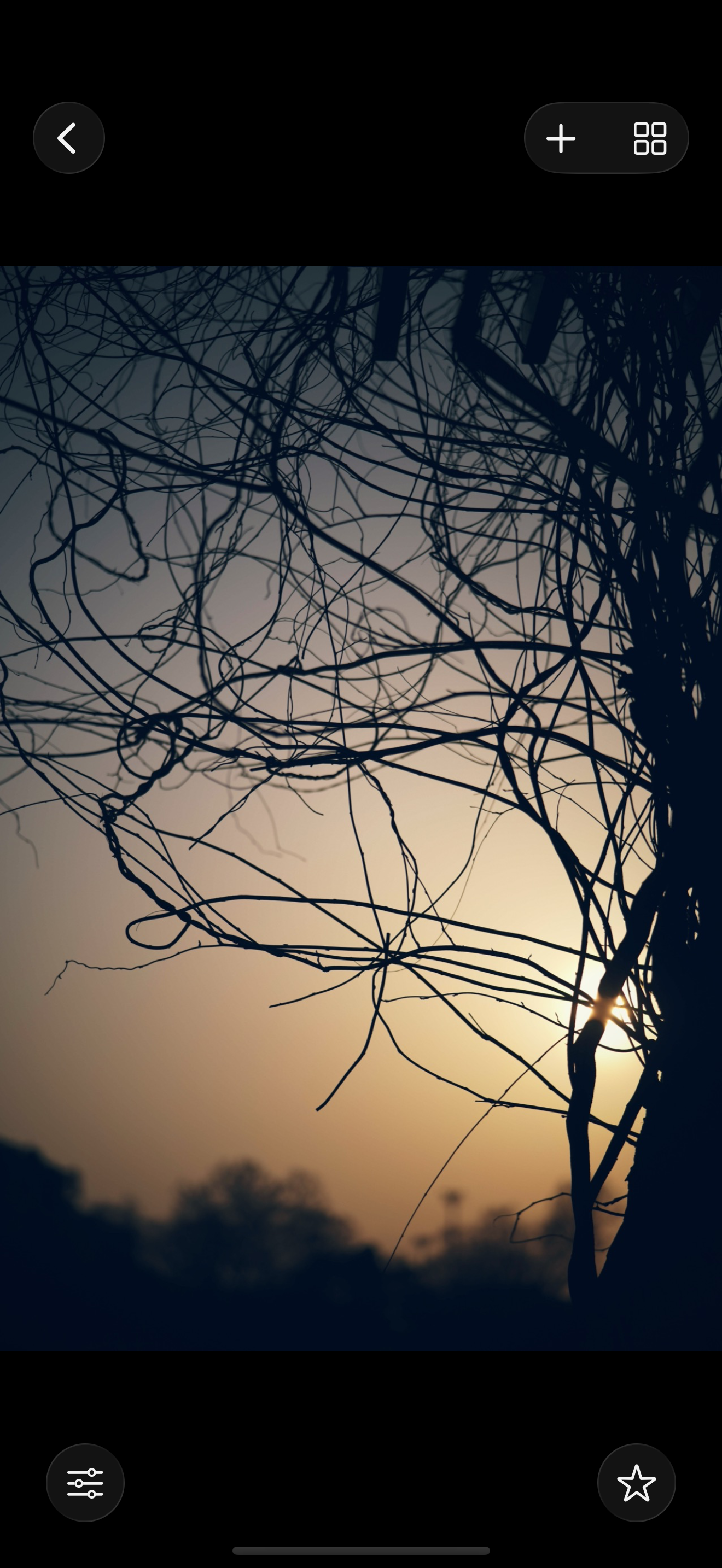 Copy and paste edits feature